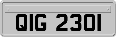 QIG2301