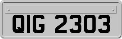 QIG2303