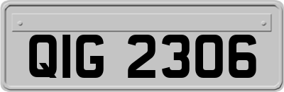QIG2306