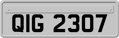 QIG2307