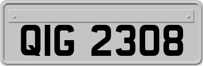 QIG2308