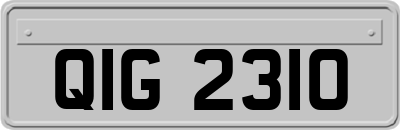 QIG2310