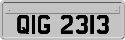 QIG2313