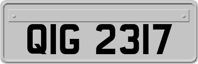 QIG2317