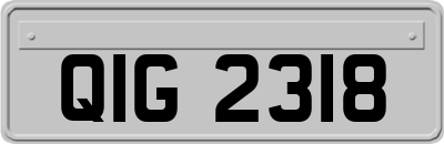 QIG2318