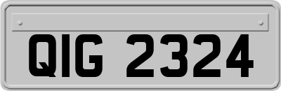 QIG2324