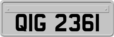 QIG2361