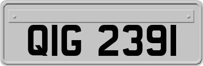 QIG2391