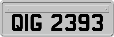 QIG2393