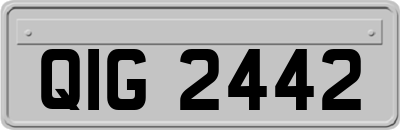 QIG2442
