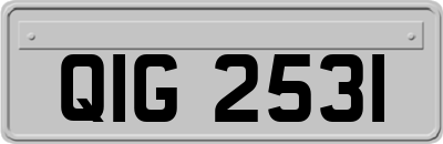 QIG2531