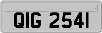 QIG2541