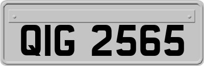 QIG2565