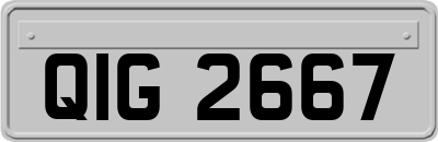 QIG2667