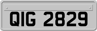 QIG2829