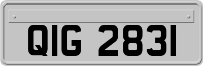 QIG2831