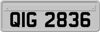 QIG2836