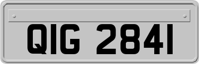 QIG2841