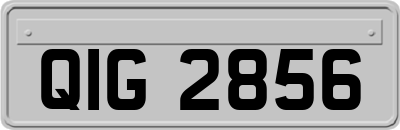 QIG2856