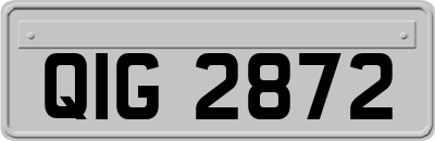 QIG2872