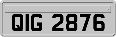 QIG2876