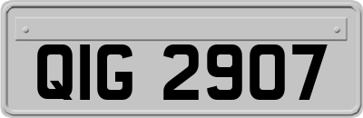 QIG2907