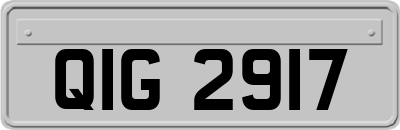QIG2917
