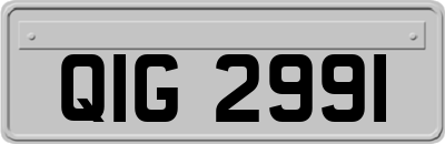 QIG2991