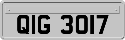 QIG3017