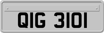 QIG3101