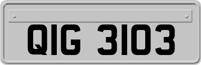 QIG3103