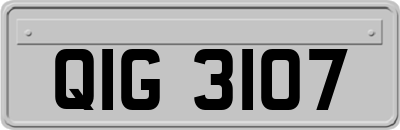QIG3107