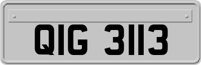 QIG3113