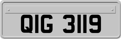 QIG3119