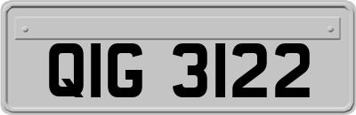QIG3122