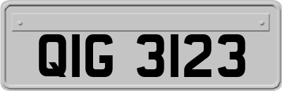 QIG3123
