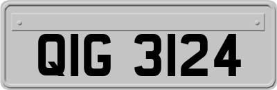 QIG3124