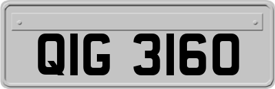 QIG3160