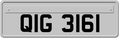 QIG3161