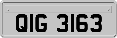 QIG3163