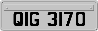 QIG3170