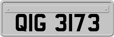 QIG3173