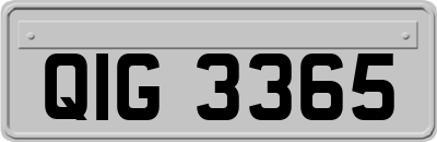 QIG3365
