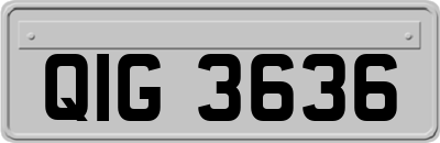 QIG3636