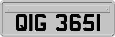 QIG3651