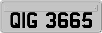QIG3665