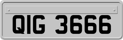QIG3666