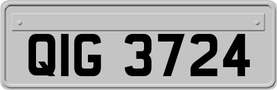 QIG3724