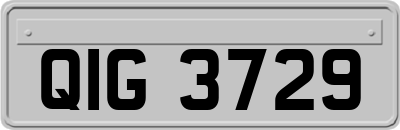 QIG3729