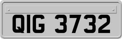 QIG3732